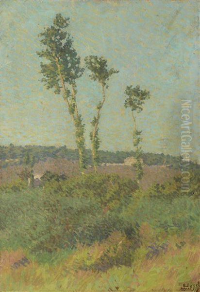 Paysage Aux Trois Arbres Oil Painting by Louis Hayet