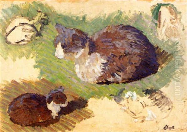 Etude De Chats Oil Painting by Louis Hayet