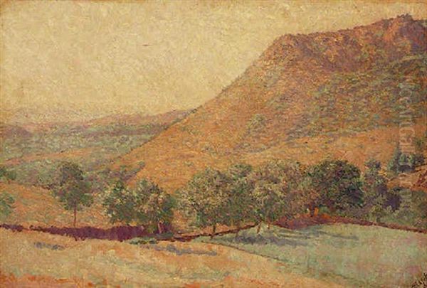 Paysage Aux Oliviers Oil Painting by Louis Hayet