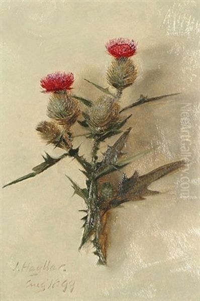 Study Of A Thistle Oil Painting by James Hayllar