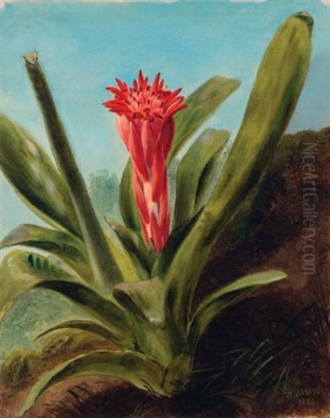 Red Bromeliad Oil Painting by William Jacob Hays the Elder