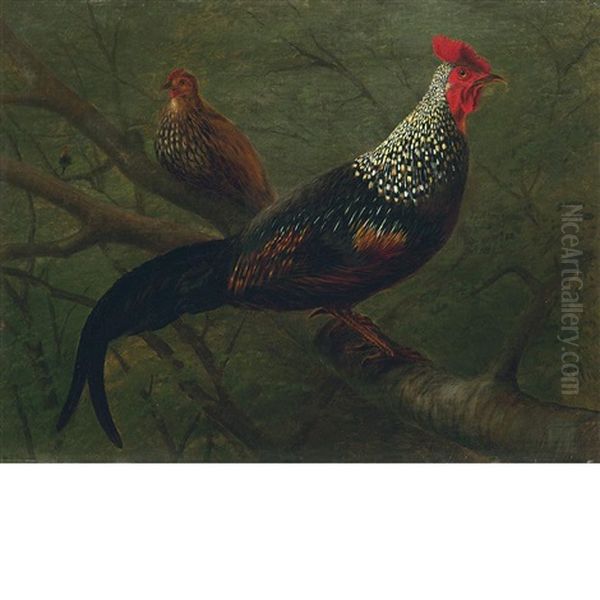 Pheasants Oil Painting by William Jacob Hays the Elder