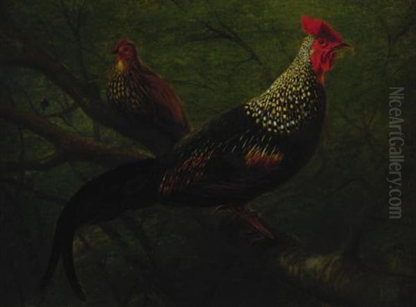 Pheasants Oil Painting by William Jacob Hays the Elder