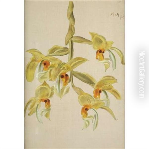 Branch Of Six Yellow Orchids Oil Painting by William Jacob Hays the Elder