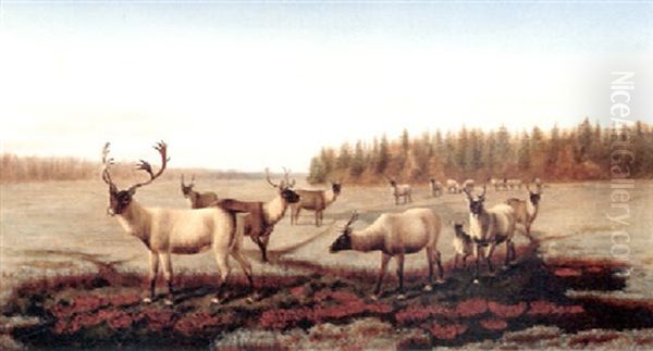 Caribou Oil Painting by William Jacob Hays the Elder