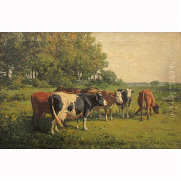 Cows In A Meadow Oil Painting by George Arthur Hays