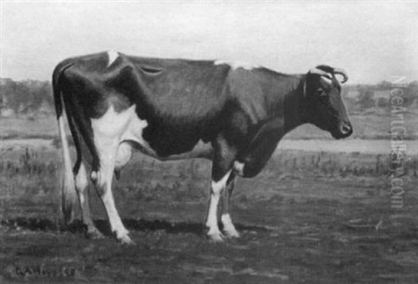 Portrait Of A Cow Oil Painting by George Arthur Hays