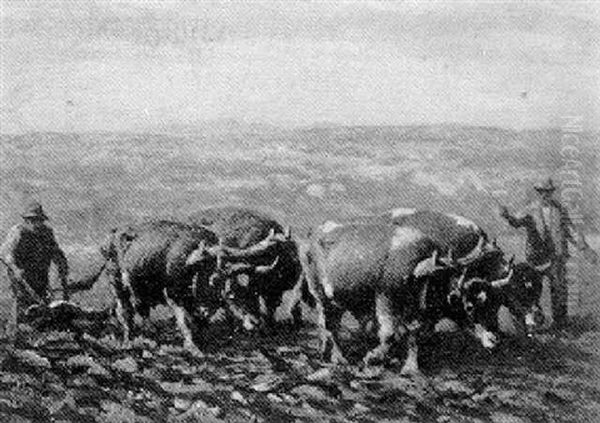 Oxen Plowing The Field Oil Painting by George Arthur Hays