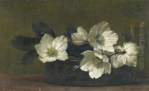 White Hellebores Oil Painting by Alfred Frederick William Hayward