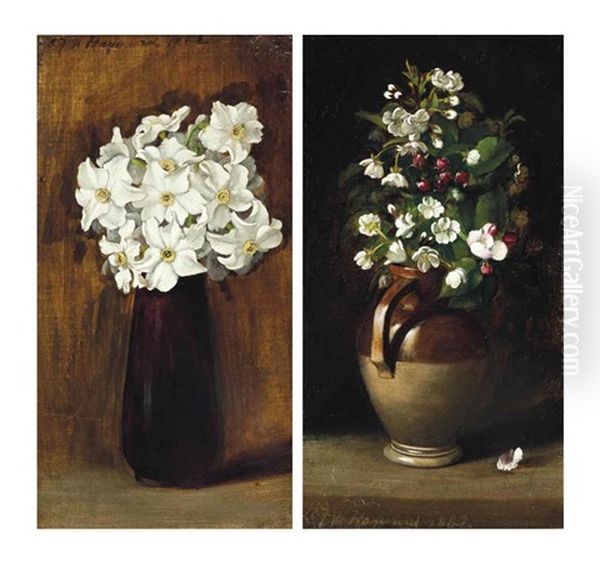 Narcissi And Blossom (pair) Oil Painting by Alfred Frederick William Hayward