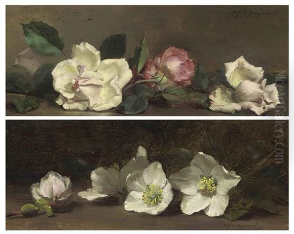 Roses (+ Anemones; Pair) Oil Painting by Alfred Frederick William Hayward