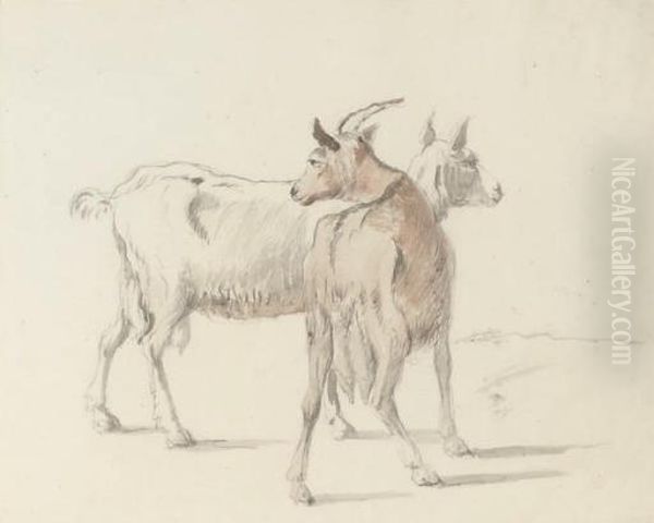 Study Of Goats Oil Painting by Coplestone Warre Bampfylde