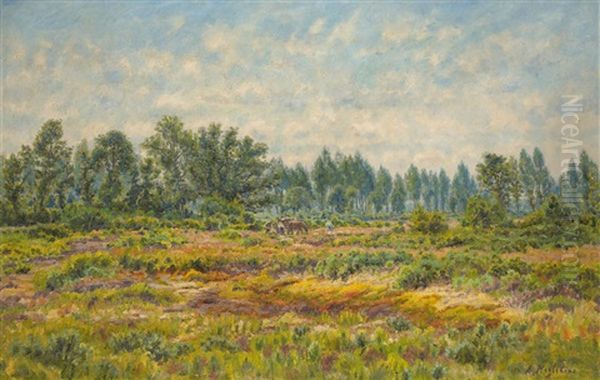 Paysage Ensoleille Oil Painting by Alfred Hazledine