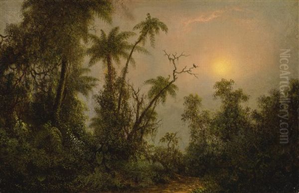 Tropical Forest Scene Oil Painting by Martin Johnson Heade