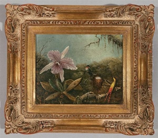 Orchid And Hummingbirds Oil Painting by Martin Johnson Heade