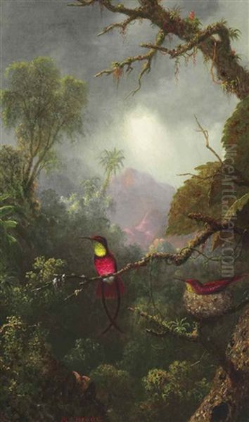 Nesting Hummingbirds, Brazilian Landscape Oil Painting by Martin Johnson Heade