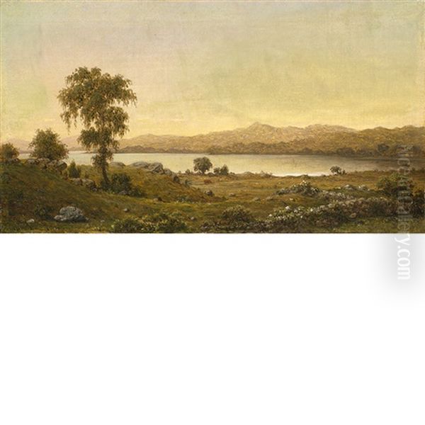 Rhode Island Scene (a Lake Study) Oil Painting by Martin Johnson Heade