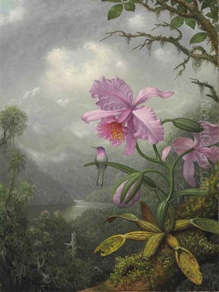 Hummingbird Perched On The Orchid Plant Oil Painting by Martin Johnson Heade