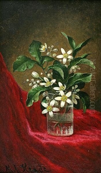 Orange Blossoms In A Glass Oil Painting by Martin Johnson Heade