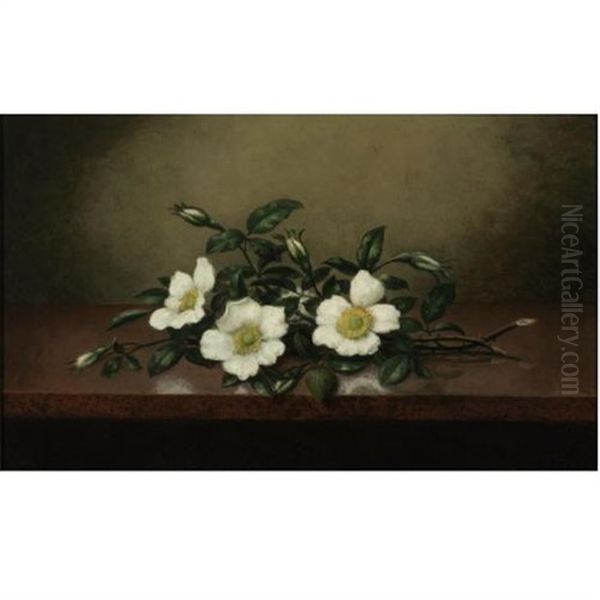 Cherokee Roses On A Shiny Table Oil Painting by Martin Johnson Heade