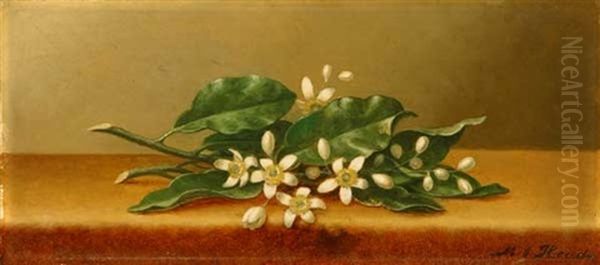 Orange Blossoms On Yellow Velvet Oil Painting by Martin Johnson Heade