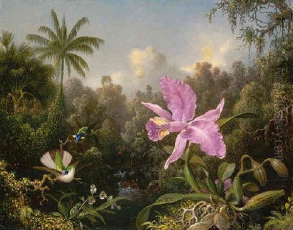 Orchid And Two Hummingbirds, 1872 Oil Painting by Martin Johnson Heade