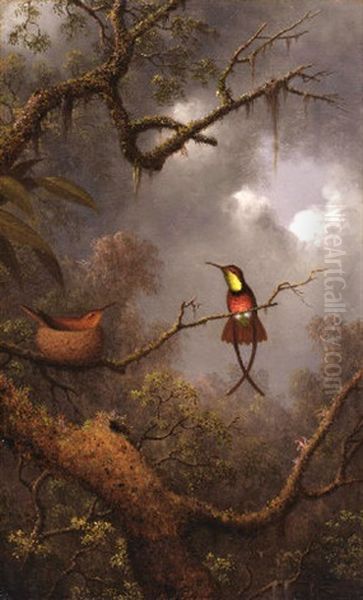 Crimson Topaz Hummingbirds Nesting In A Tropical Forest Oil Painting by Martin Johnson Heade