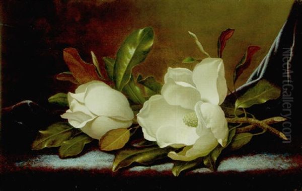 Two Magnolias On Blue Plush Oil Painting by Martin Johnson Heade