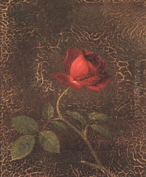 A Red Rose Oil Painting by Martin Johnson Heade