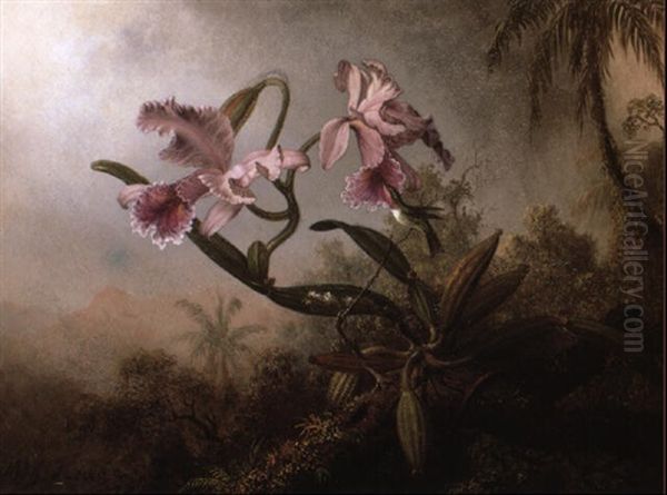 Orchides And Hummingbird Oil Painting by Martin Johnson Heade