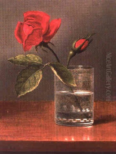 Rose by Martin Johnson Heade