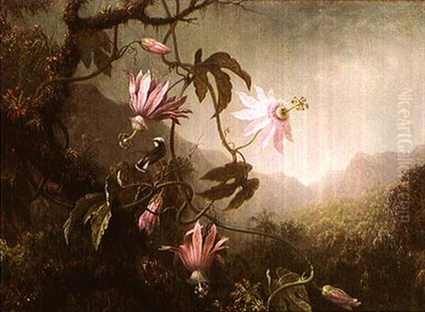 Hummingbird And Passion Flowers Oil Painting by Martin Johnson Heade