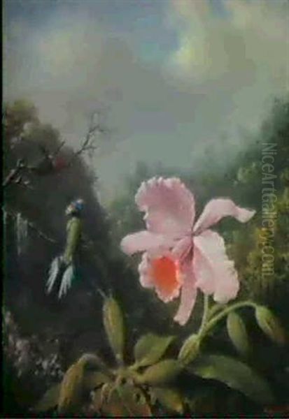 Still Life With Orchid And Pair Of Hummingbirds Oil Painting by Martin Johnson Heade