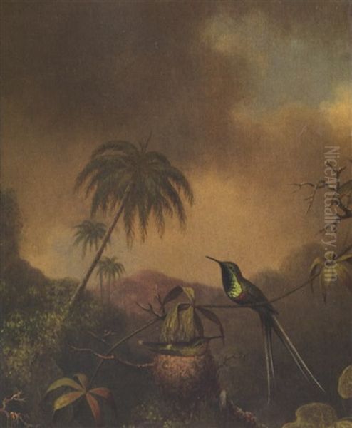 Thorn-tail, Brazil Oil Painting by Martin Johnson Heade