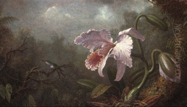 Hummingbird And Orchid Oil Painting by Martin Johnson Heade