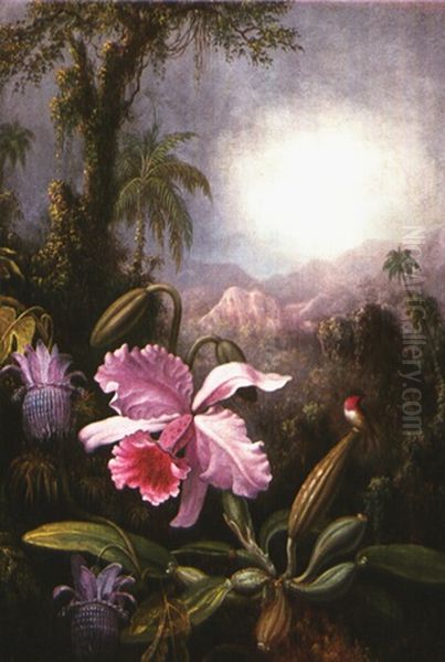 Orchids, Passion Flowers And Hummingbird Oil Painting by Martin Johnson Heade