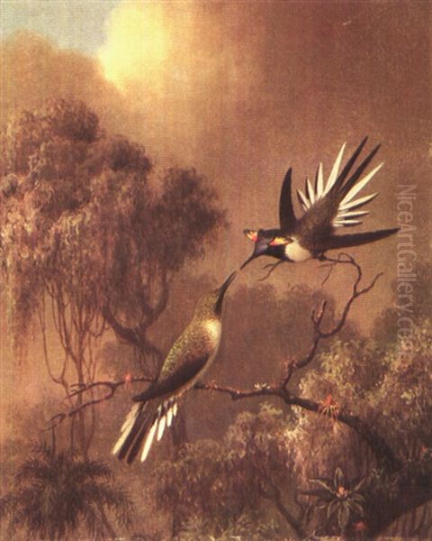 Hummingbirds Oil Painting by Martin Johnson Heade