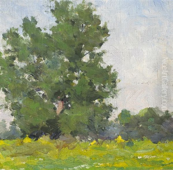 Trees Study, Summertime Oil Painting by Michael Healy