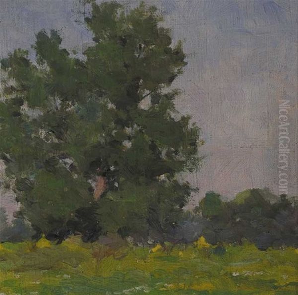 Tree Study, Summertime Oil Painting by Michael Healy