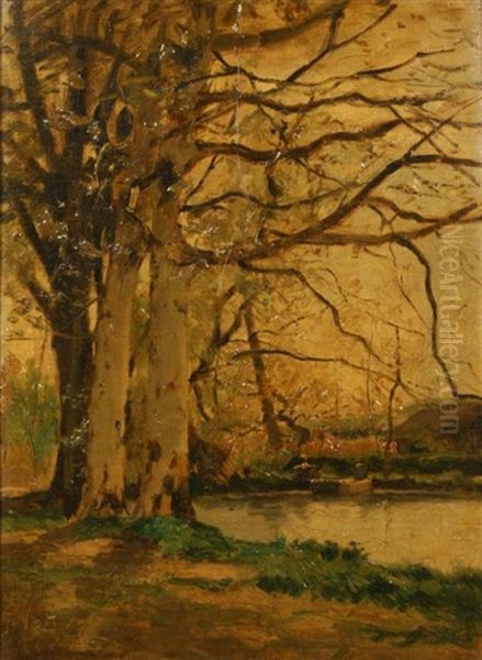 Trees By The Water Oil Painting by Hendrick van der Hecht