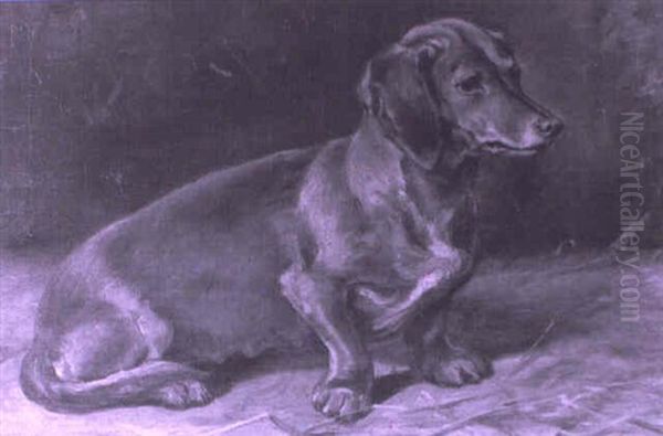 Dachshund Oil Painting by Ralph Hedley