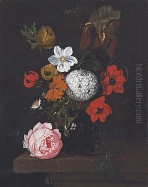 Corn Poppies, A Peony, A Chrysanthemum And Other Flowers, In A Glass Vase On A Stone Ledge Oil Painting by David Cornelisz Heem III