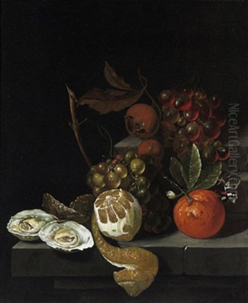 Stillleben Mit Sudfruchten, Austern Und Weintrauben Oil Painting by David Cornelisz Heem III