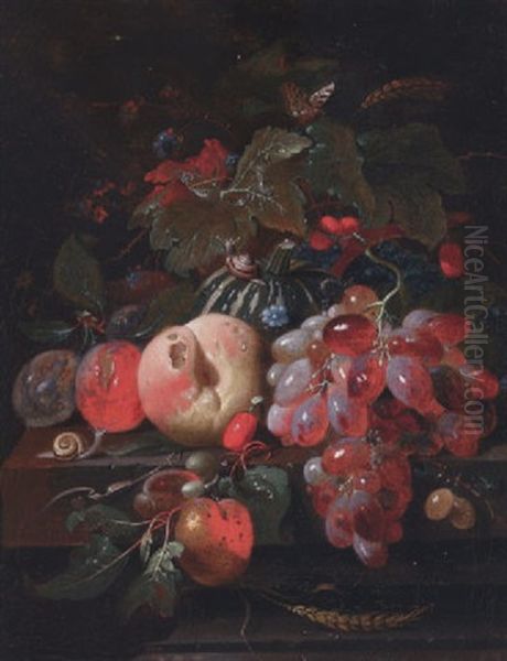 Grapes, Plums, A Peach, A Melon And Cherries On A Stone Ledge, With Snails, A Centipede And A Butterfly Oil Painting by Cornelis De Heem