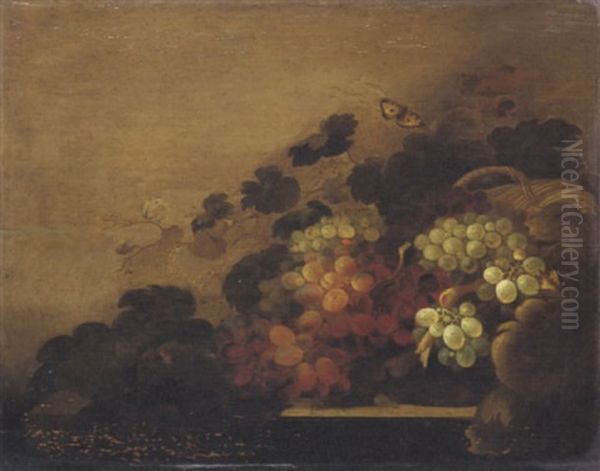 Natura Morta Con Uva Oil Painting by Cornelis De Heem