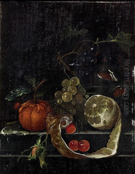 A Lemon, Grapes, Cherries And Other Fruit With A Flower On A Stone Ledge Oil Painting by Jan Davidsz De Heem