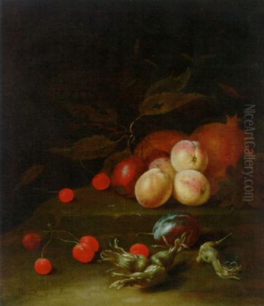 Peaches, Plums, Cherries And Cobnuts On A Ledge by Jan Davidsz De Heem