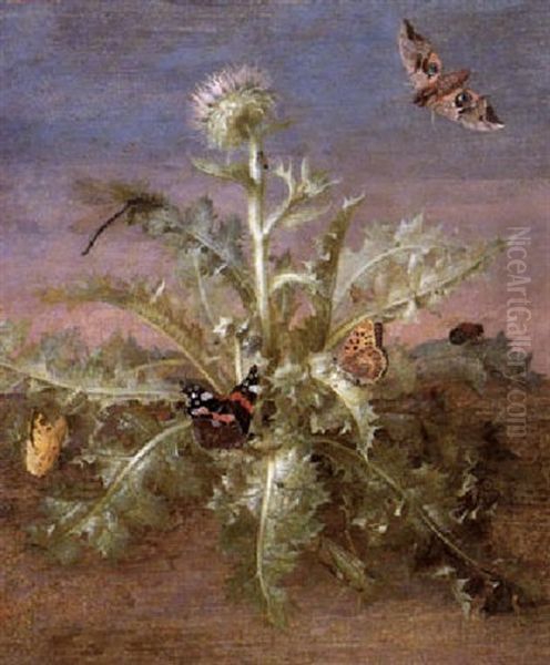 A Thistle Laiden With Insects Including Butterflies, A      Dragonfly & A Grasshopper Oil Painting by Margarethe de Heer