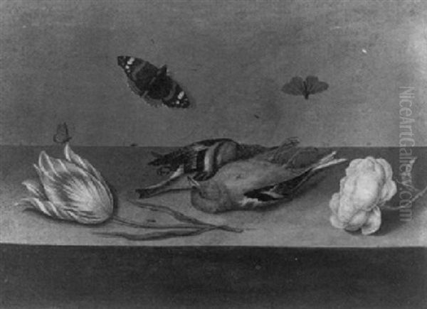 A Still Life With Dead Songbirds, A Rose, A Tulip, Butterflies And Other Insects On A Ledge Oil Painting by Willem (Guilliam) de Heer