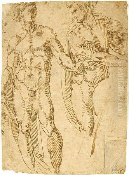 A Study Of Two Figures Oil Painting by Baccio Bandinelli